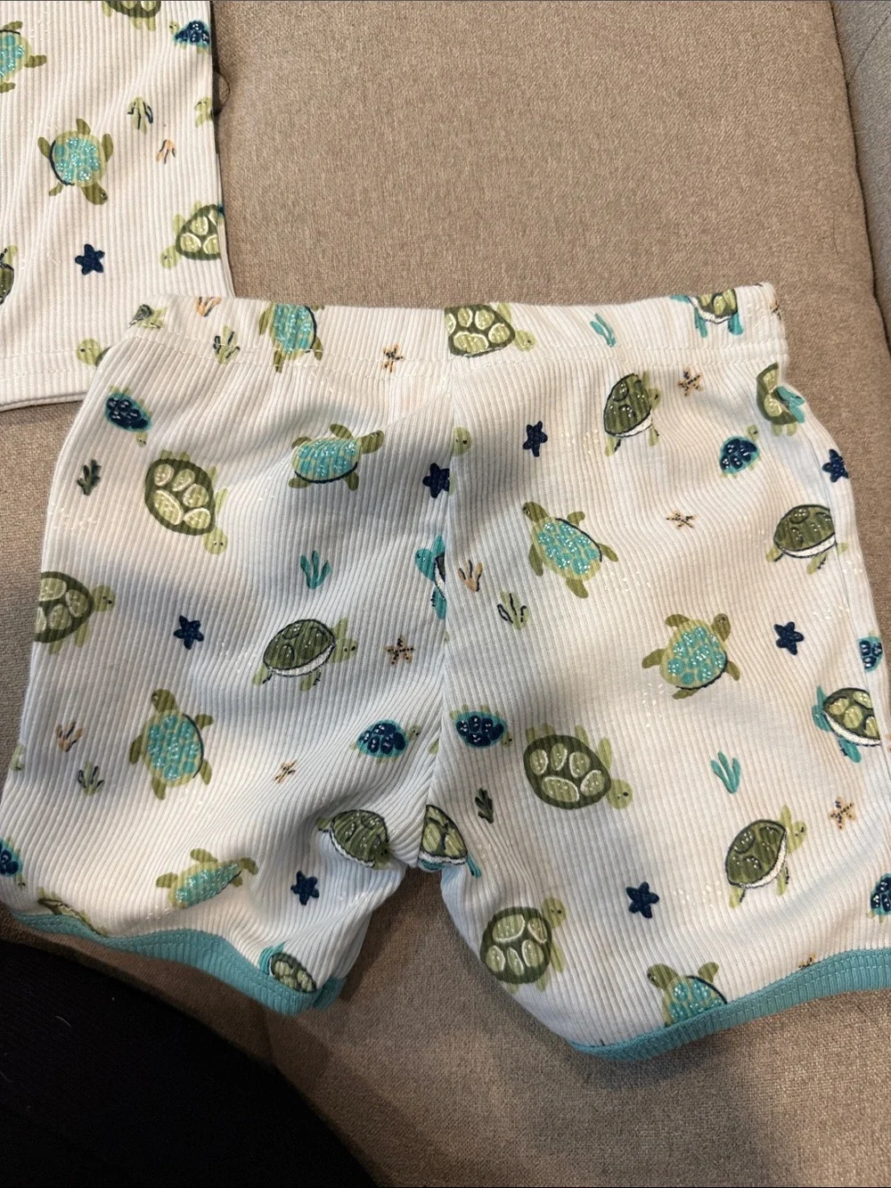 Chickpea Turtle Print White & Teal Pajama Set